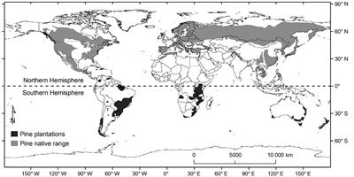 Ectomycorrhizal Plant-Fungal Co-invasions as Natural Experiments for Connecting Plant and Fungal Traits to Their Ecosystem Consequences